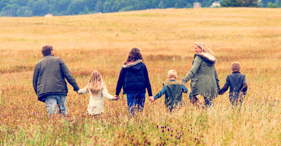 Eine Familie geht Hand in Hand über eine sommerliche Wiese